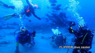 ツアー写真（1）