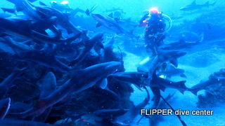 ツアー写真（2）