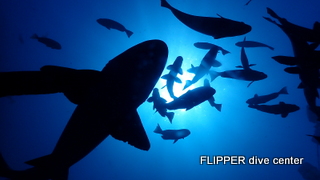 ツアー写真（1）