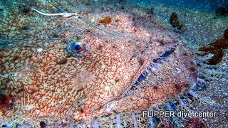 ツアー写真（2）