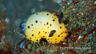 ツアー写真（1）