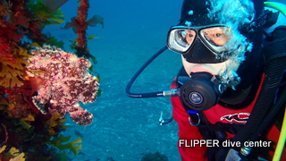 ツアー写真（2）