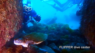 ツアー写真（2）