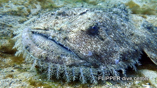 ツアー写真（1）