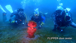 ツアー写真（2）