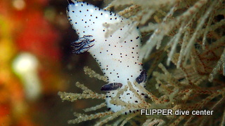 ツアー写真（2）