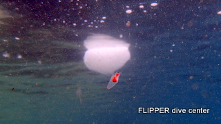 ツアー写真（2）