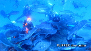 ツアー写真（1）