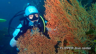 ツアー写真（1）