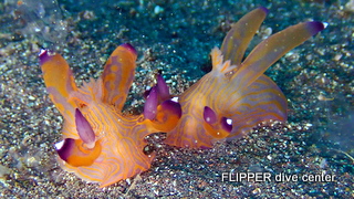 ツアー写真（2）