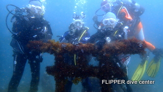 ツアー写真（2）