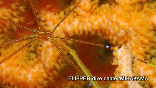 ツアー写真（1）