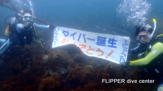 ツアー写真（1）